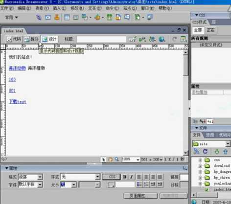 Dreamweaver 8 网站开发基础